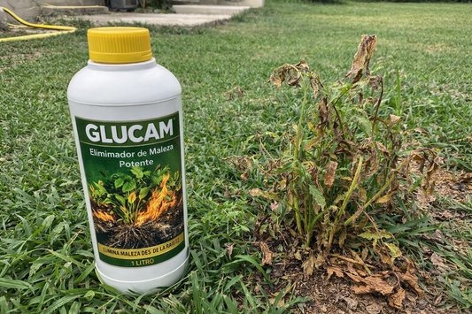 🔥 GLUCAM Herbicida Líquido 500ML | Compra Más y Ahorra 💰